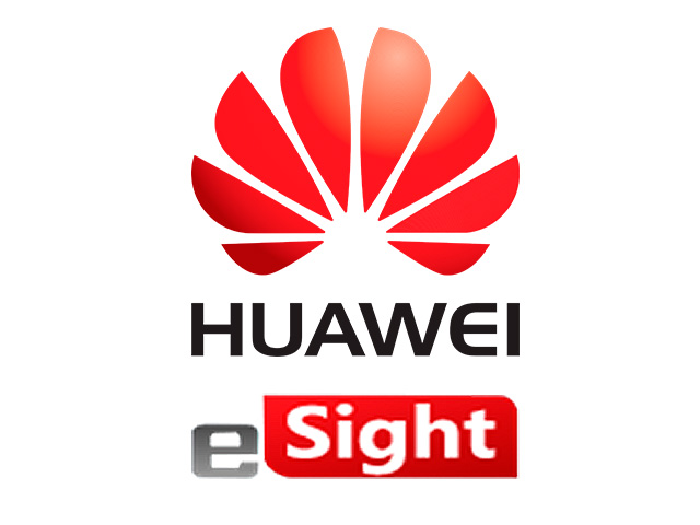 Опции Huawei eSight