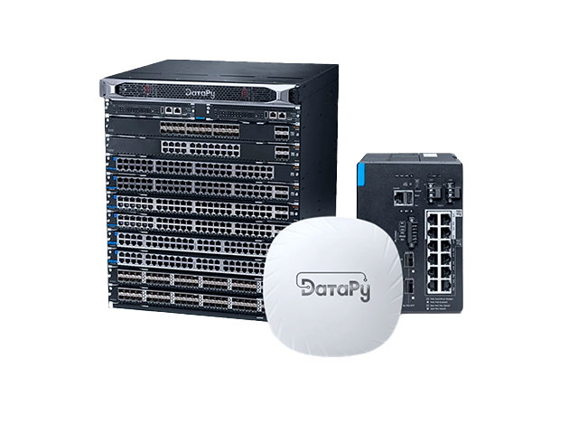 Сетевое оборудование ДатаРу