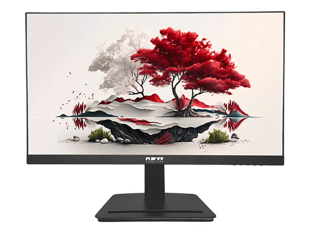 Монитор RDW 2501